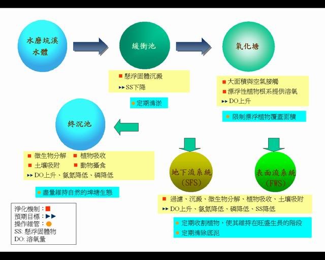 向老天借來的好主意：人工濕地方韻如