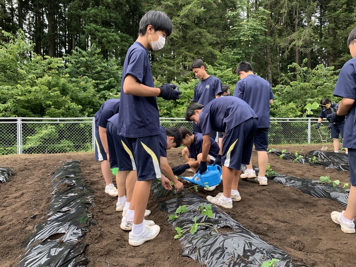 戶澤學園學生在校園種菜畫面